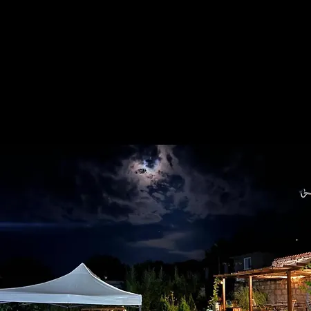 нелче בית נופש