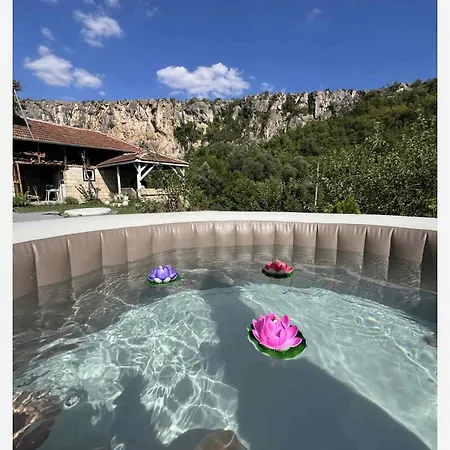 нелче * Pepelina