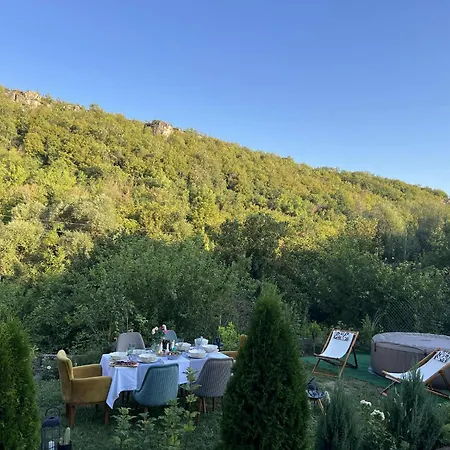 בית נופש нелче