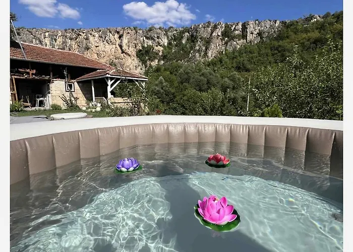 нелче * Pepelina